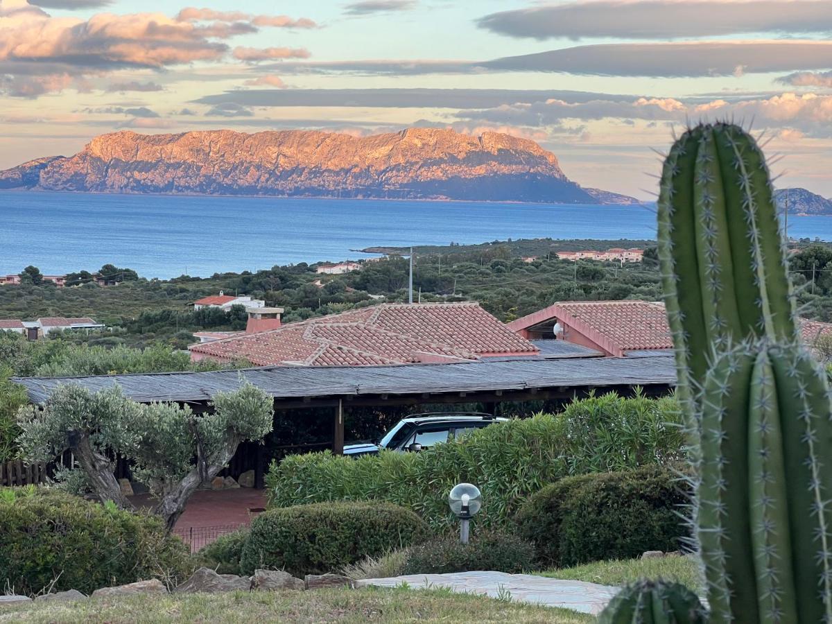 Villa A Golfo Aranci Con Vista Su Tavolara Marinella  Dış mekan fotoğraf